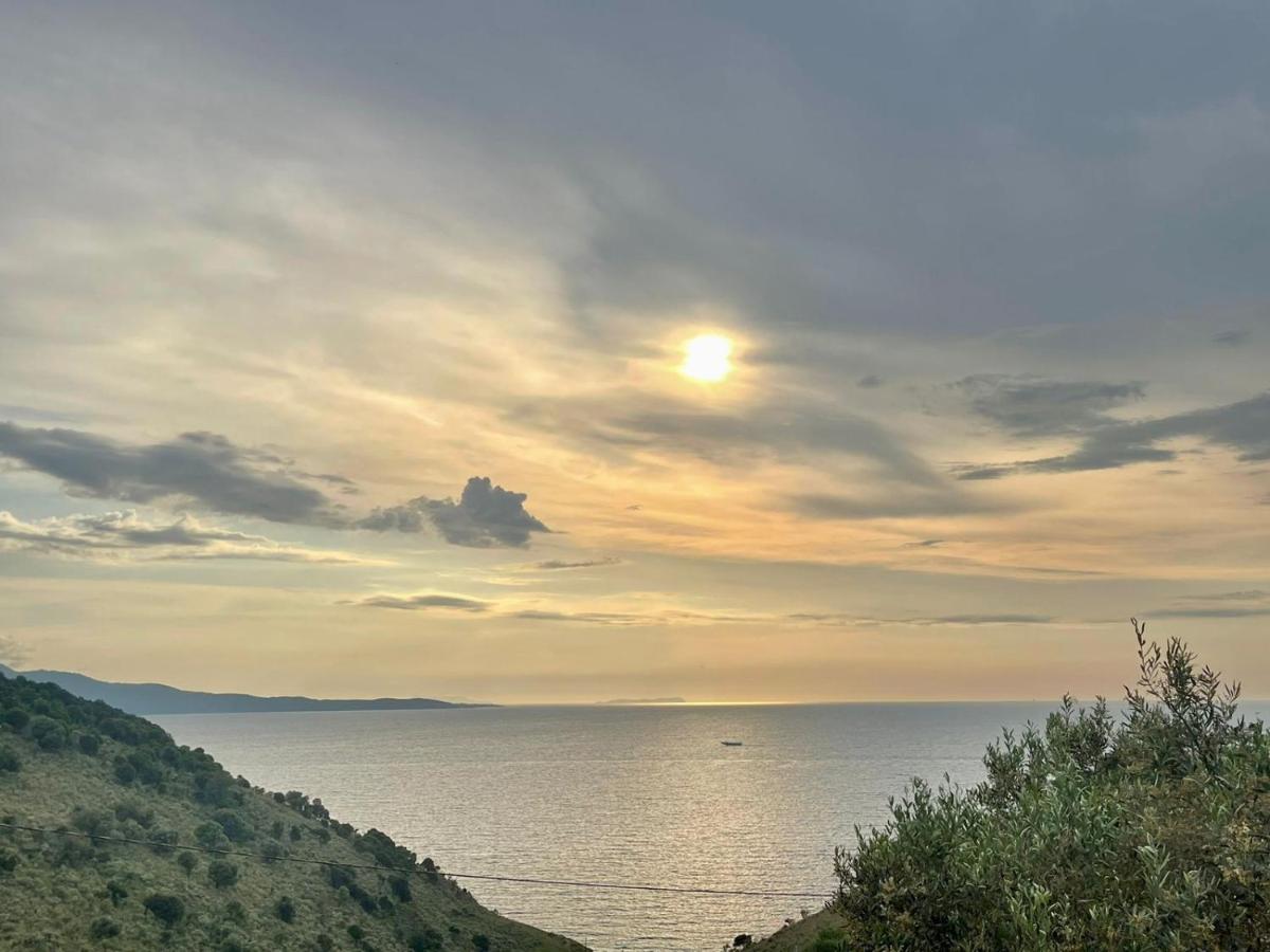 vila paza tirane triple